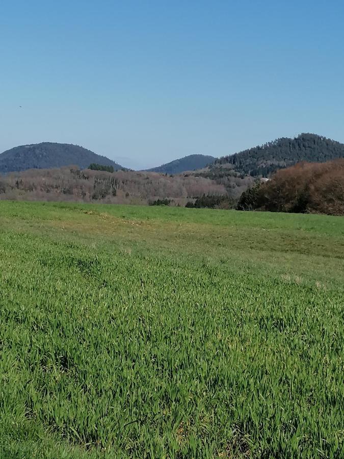 Air Paix Le Mont Villa Herpelmont Exteriör bild