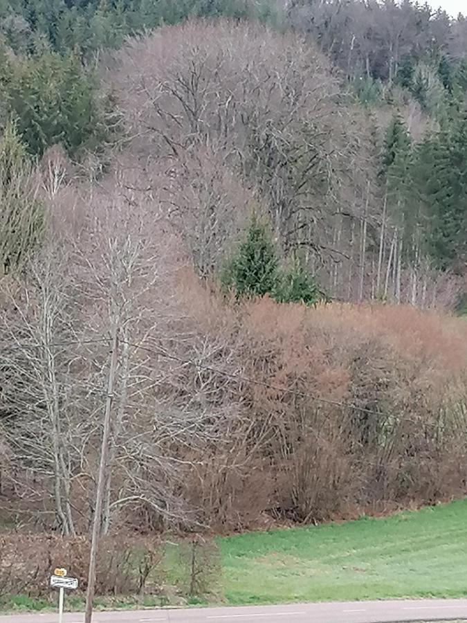 Air Paix Le Mont Villa Herpelmont Exteriör bild